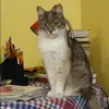 Отзыв от Елена Лапшина